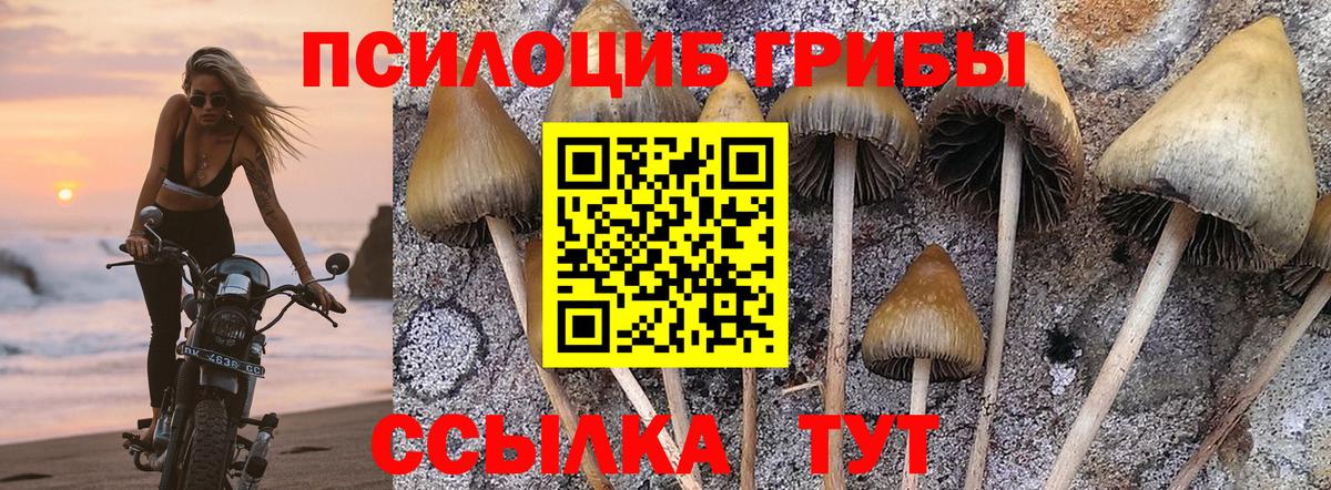Галлюциногенные грибы GOLDEN TEACHER  Вход с VPN  Карасук 